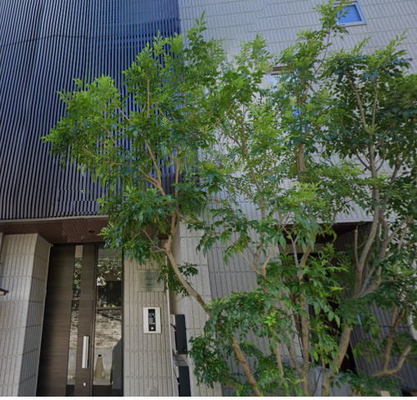 中央大学 マンション 1LDK
